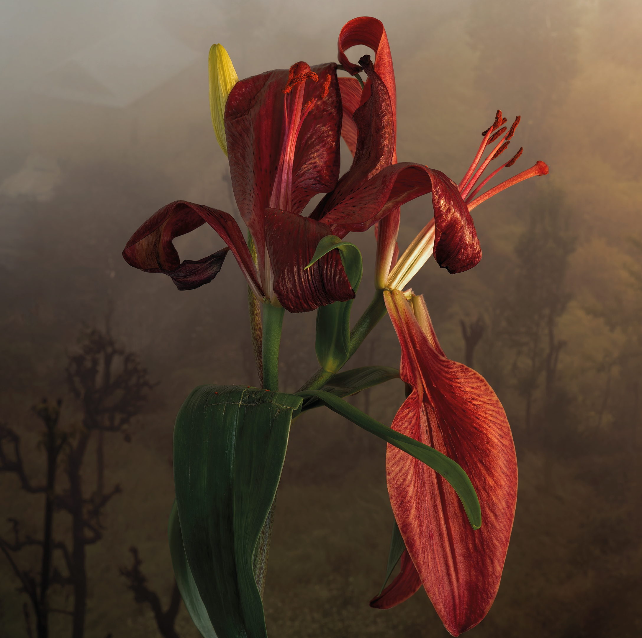 Bérénice, création de Romeo Castellucci, avec Isabelle Huppert