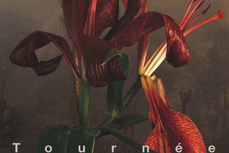 Affiche tournée Bérénice image
