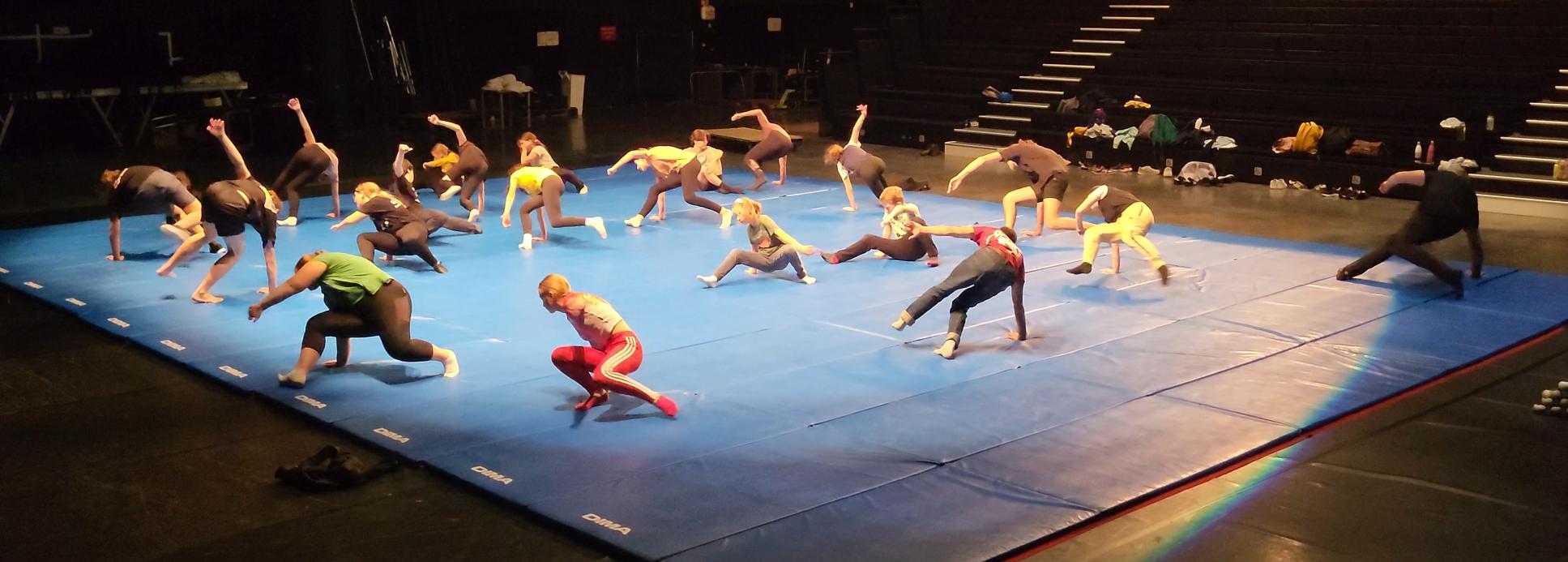 Photo atelier Acrodanse