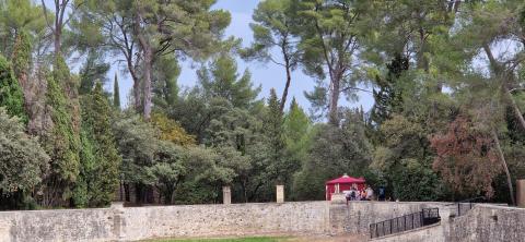 Saperlipopette 2023, retour 2 Grand Bassin