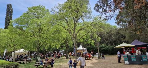 Saperlipopette 2023, retour 3 Micocouliers