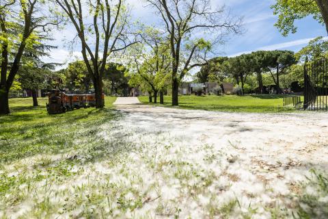 Photo Saperlipopette 2024 19