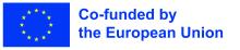Logo financement européen EN