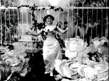 Photo film La fée aux choux