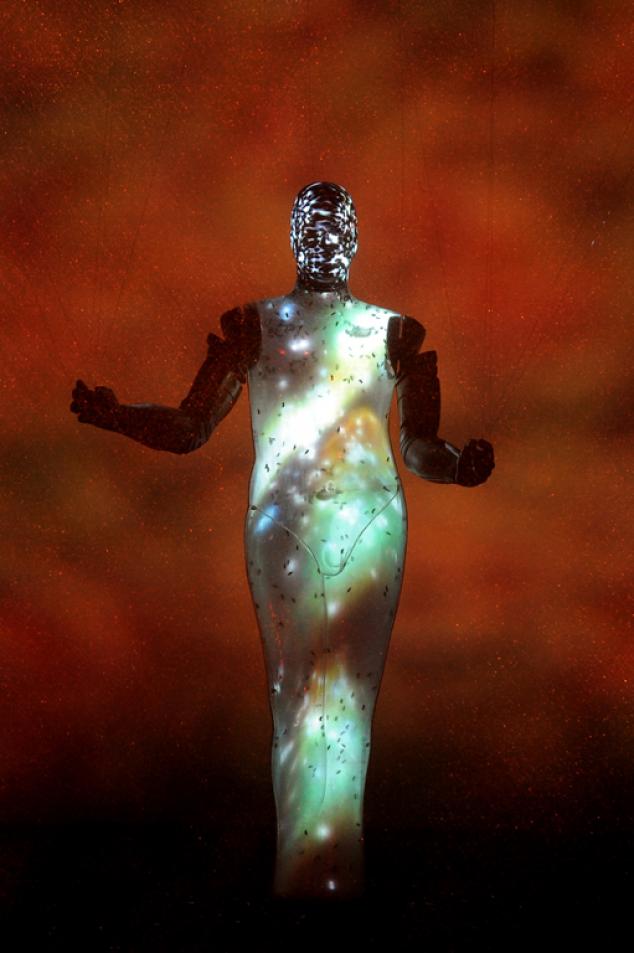 La sagesse des abeilles