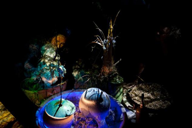 Le jardin sous la lune