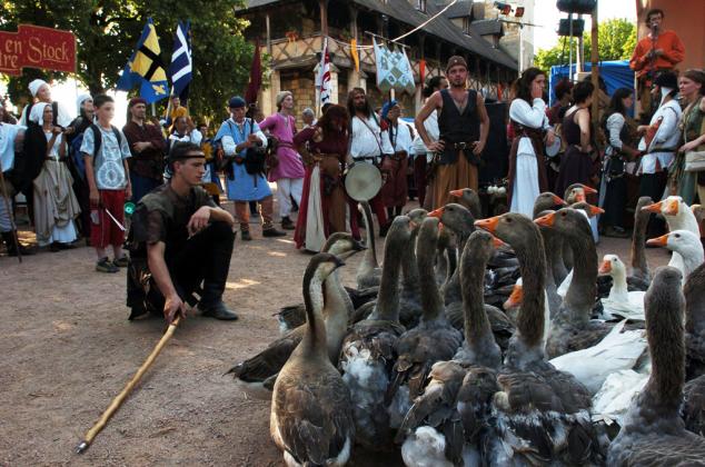Pépiloué et ses oies savantes