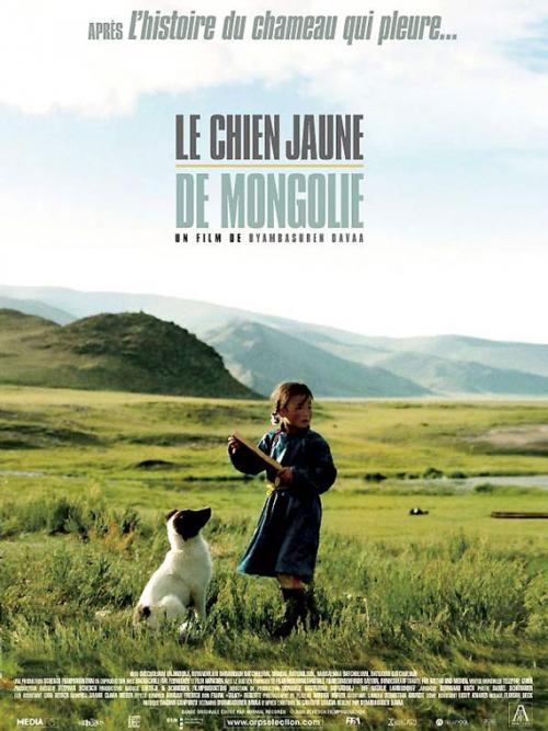 le-chien-jaune-de-mongolie.jpeg