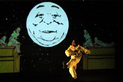 NEMO LUNE.jpg